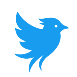 custom_website