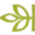 custom_website